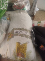 סוכה