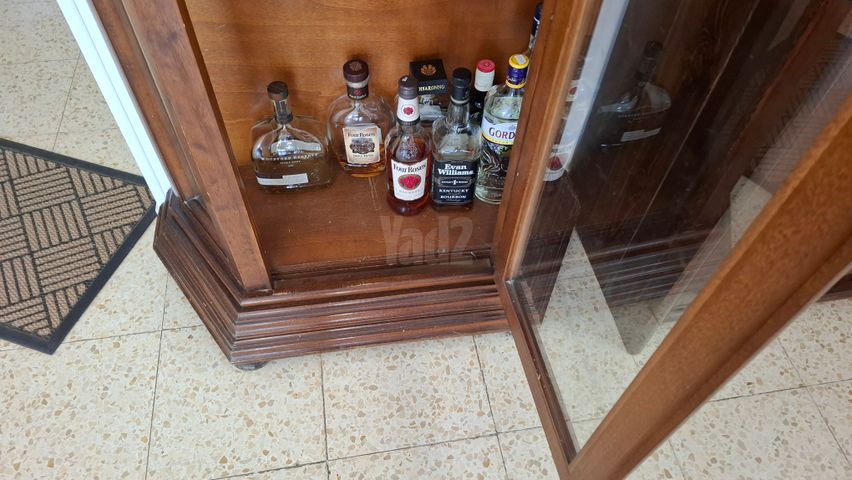 ארון ונטז curio cabnit