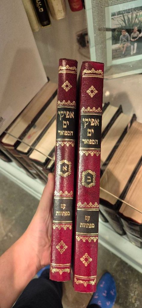 אפיקי ים חדש