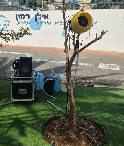 תותח קצף