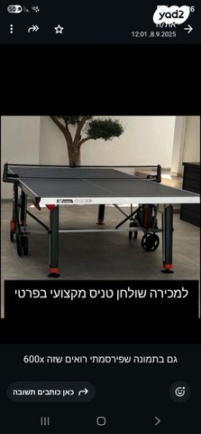שולחן טניס