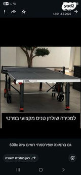 שולחן טניס