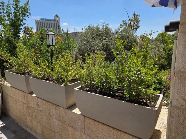 אדניות
