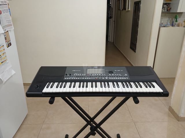 אורגן קורג 600