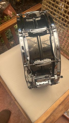 ludwig black beauty