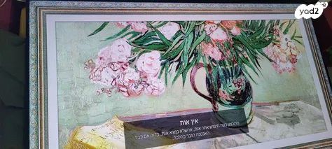 טלויזיה