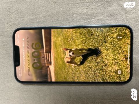 iPhone 14 שמור. מציאה!