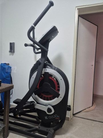 ספורט