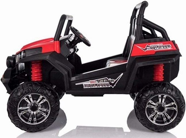 באגי ממונע RZR 24V 2X4