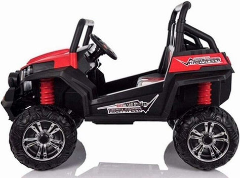 באגי ממונע RZR 24V 2X4