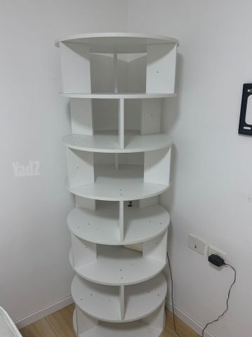 ארונית