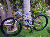 אופניים GT, שלדה SX