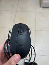 עכבר