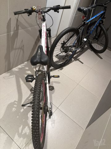 אופניים ALPINA Calypso