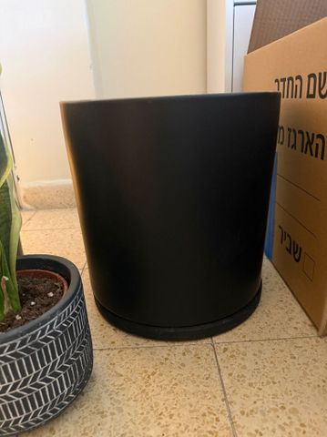 כד