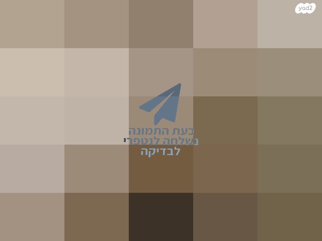 כסאות סלוניים