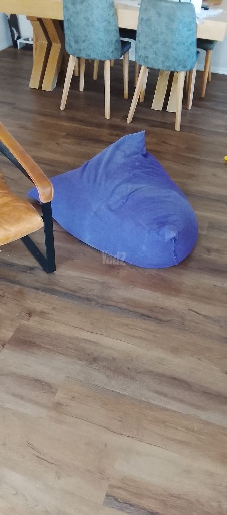 פוף