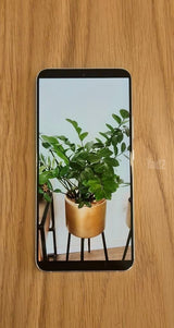 Samsung Galaxy S22+