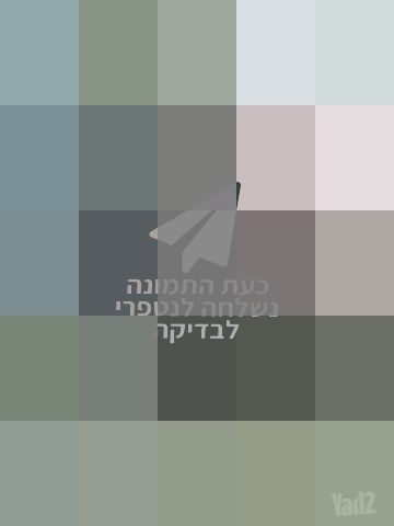 עגלת דונה