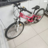 אופניים טורנדו מידה 24