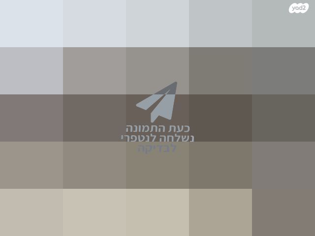 סלון
