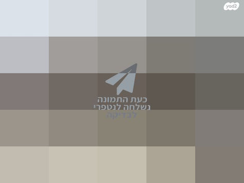 סלון