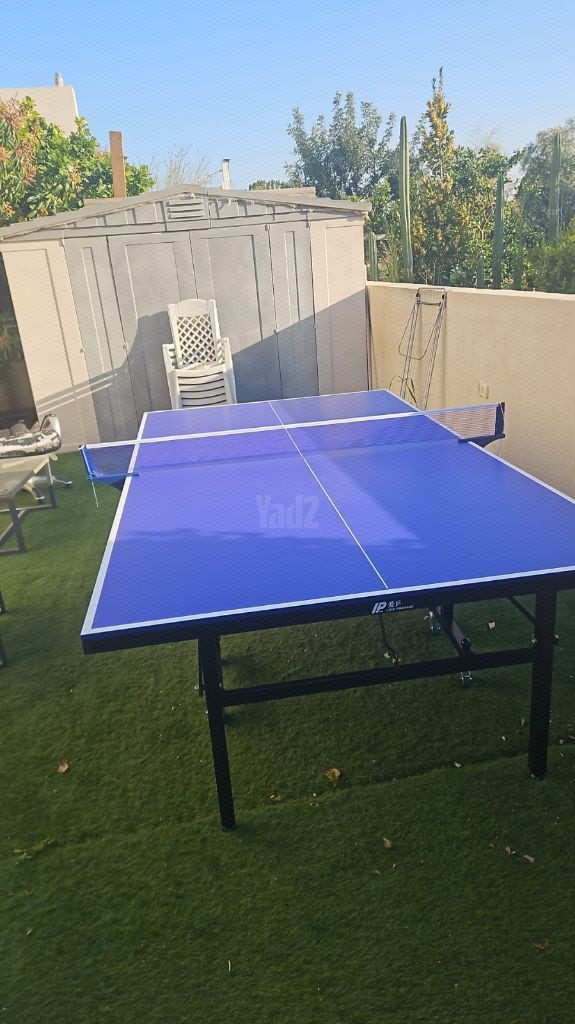 שלוחן פינגפונג