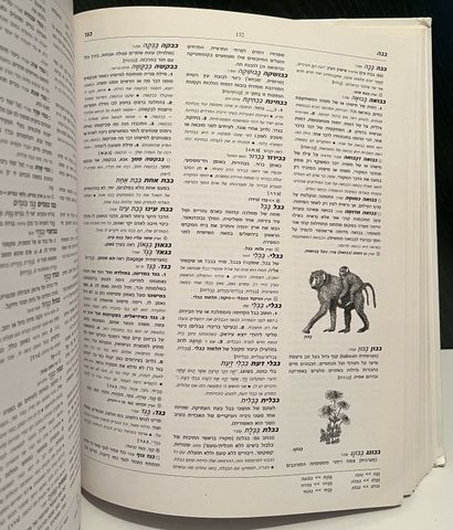 מילון