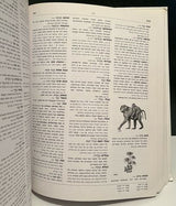 מילון