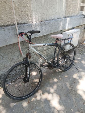 מרידה עם סבל MERIDA