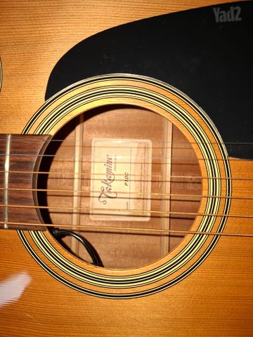 גיטרה Takamine P1DC
