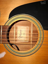 גיטרה Takamine P1DC