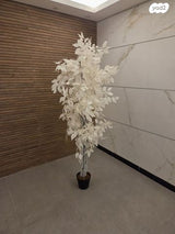 עץ נוי לסלון גינה