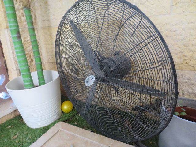 מאוורר
