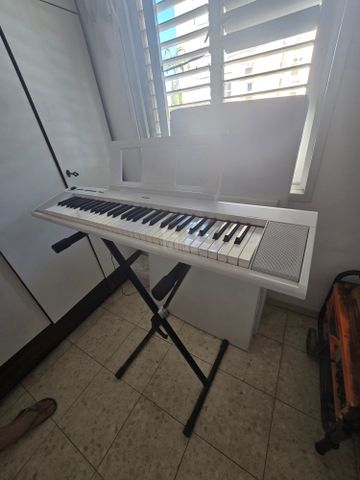 אורגן