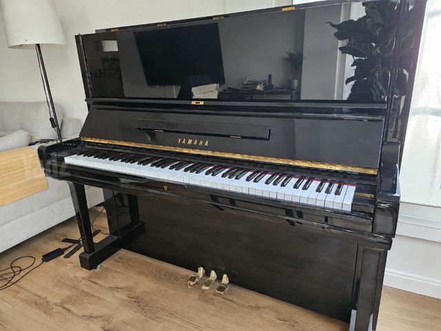 Yamaha u3