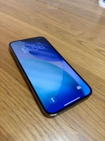 iPhone 13 Pro Max
