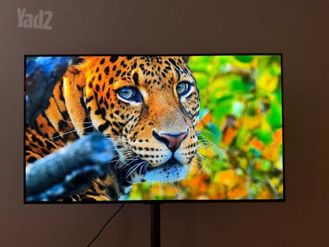 LG OLED 48