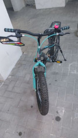 אופניים ילדים 21'