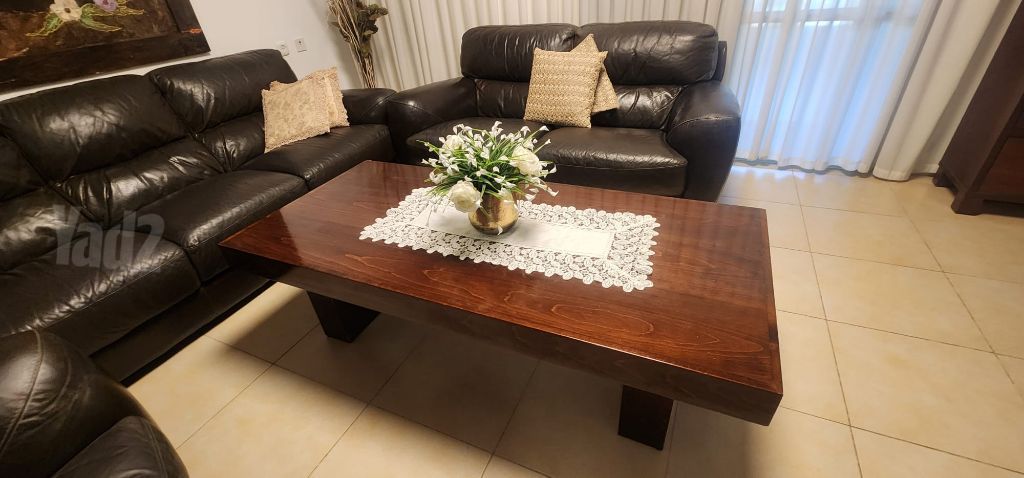 סלון עור .