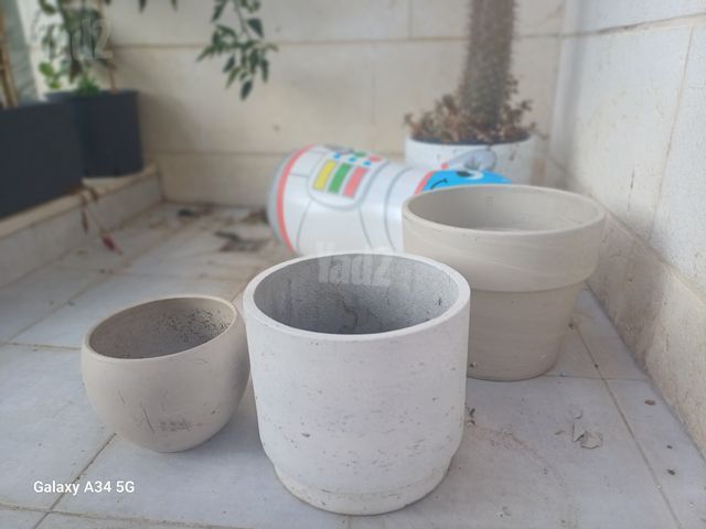עציצים