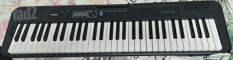 אורגנית Casio CTS300