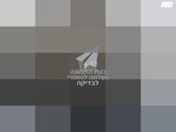 נינגה גריל