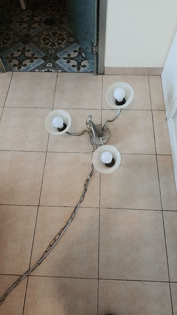 גוף תאורה