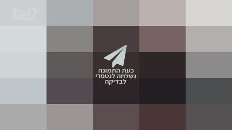 טלפון נייד