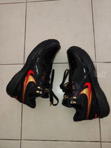 Nike James lebron shoes