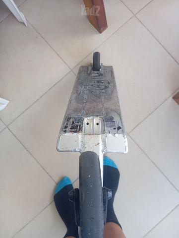 סקוט פעלולים