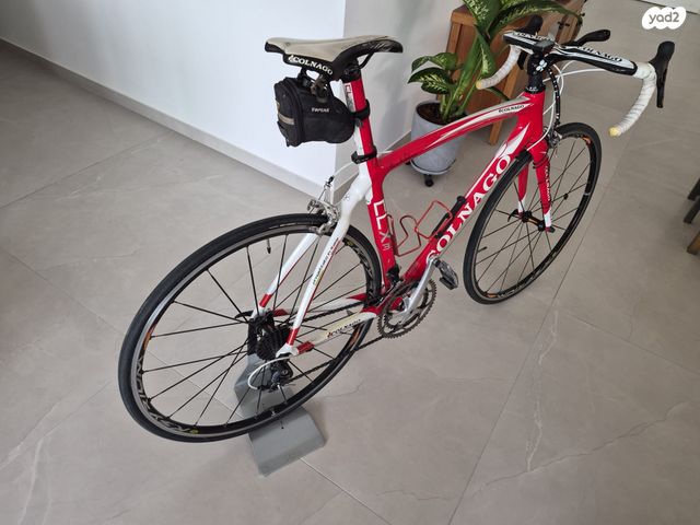 אופניים COLNAGO