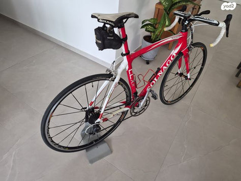 אופניים COLNAGO