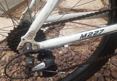650 RALEIGH - אופני הרים